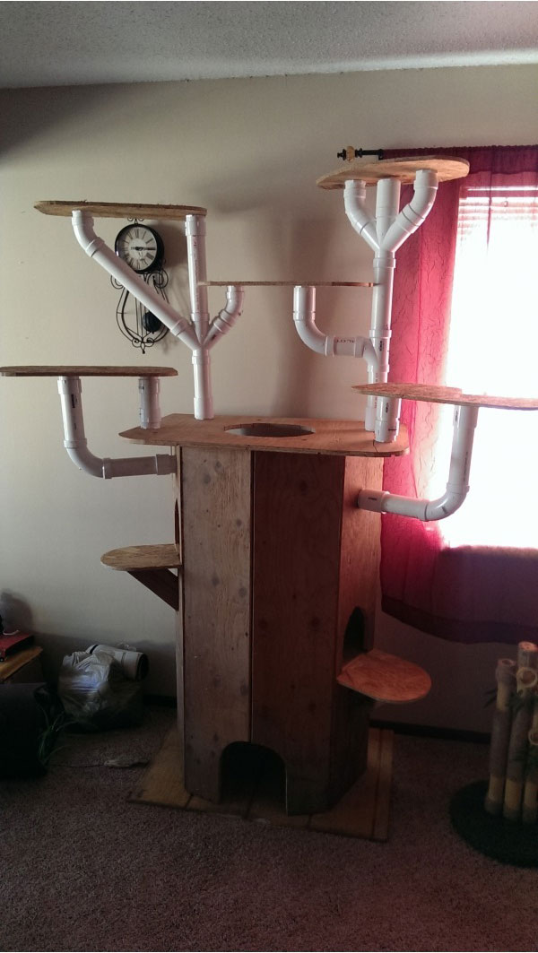 Дом для котэ
