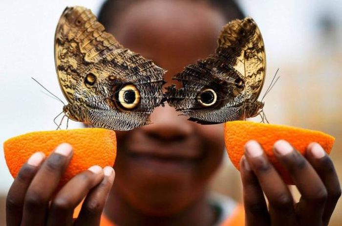 Удивительные фото без фотошопа