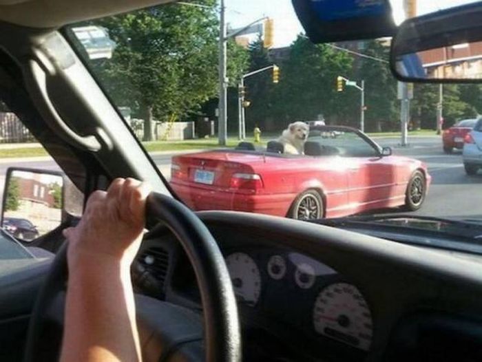 Удивительные фото без фотошопа