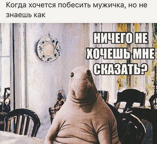 Забавная женская логика