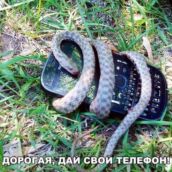 Забавная женская логика