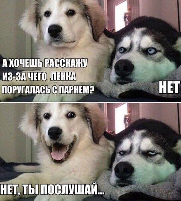 Забавная женская логика