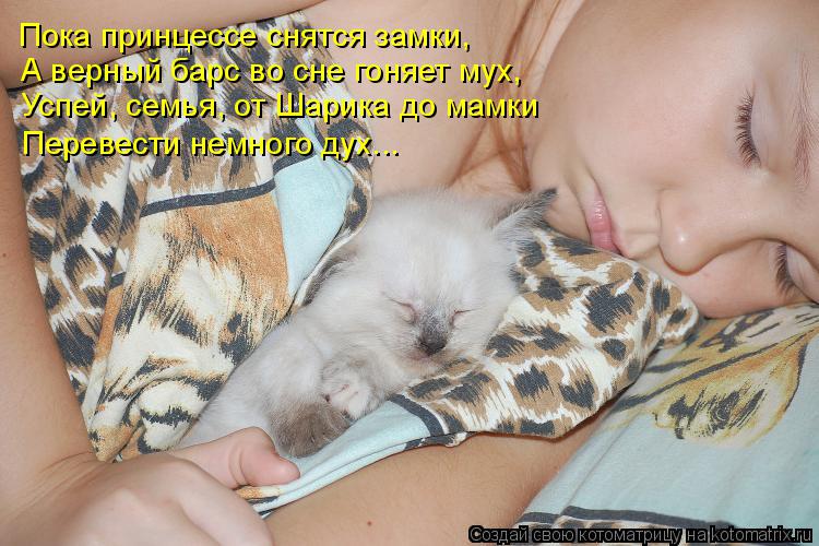 Лучшие котоматрицы недели