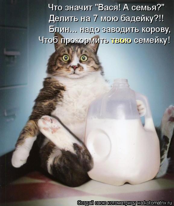Лучшие котоматрицы недели