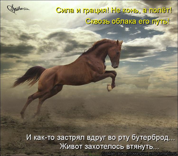 Лучшие котоматрицы недели