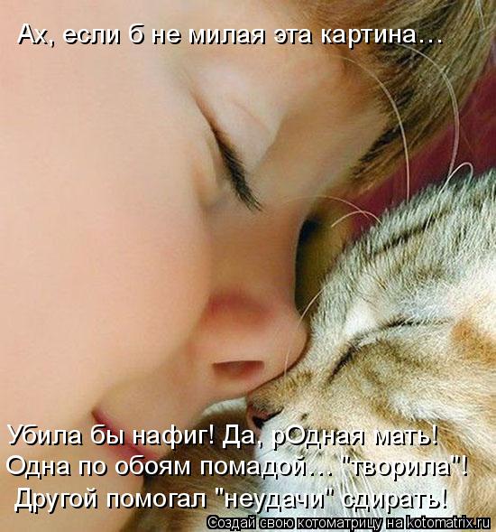 Лучшие котоматрицы недели