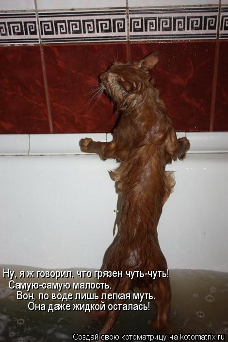 Лучшие котоматрицы недели
