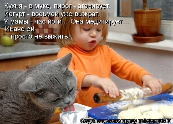 Лучшие котоматрицы недели