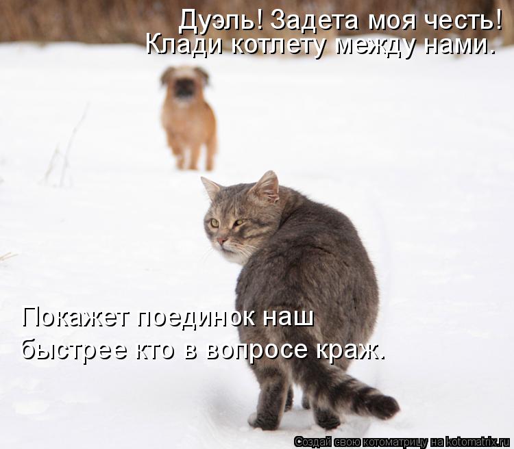 Лучшие котоматрицы недели