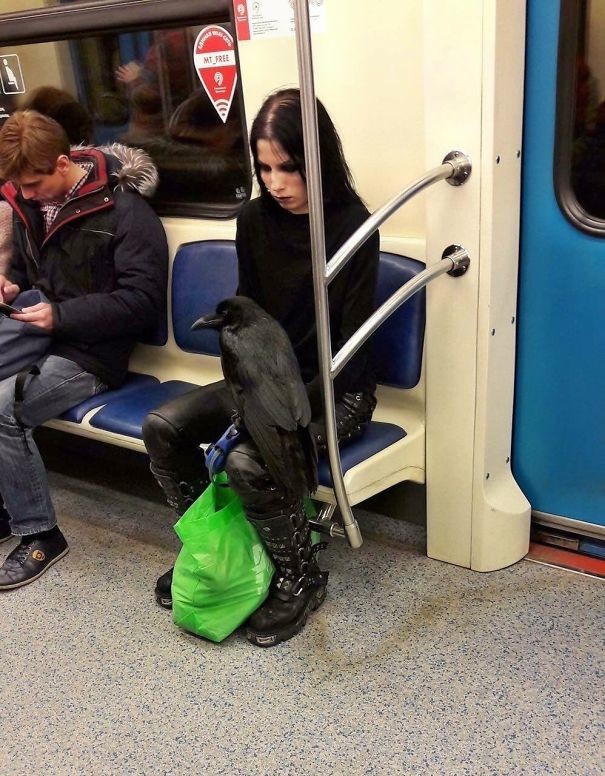 70 самых странных и запоминающихся пассажиров метро