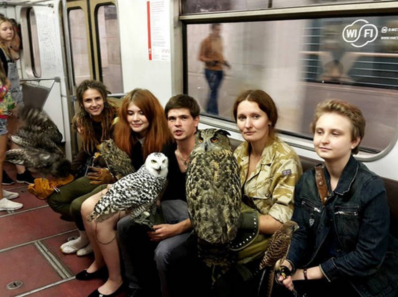 70 самых странных и запоминающихся пассажиров метро