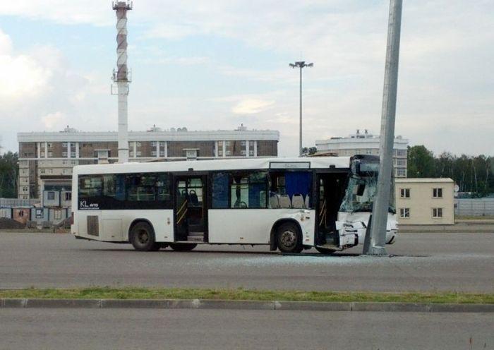 Они нашли друг друга - 2 (3 фото)