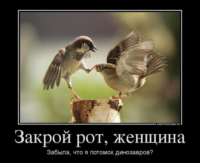 Демотиваторы (35 фото)