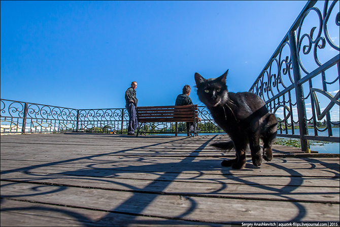 Как выглядит город, в котором мэр – не ворюга