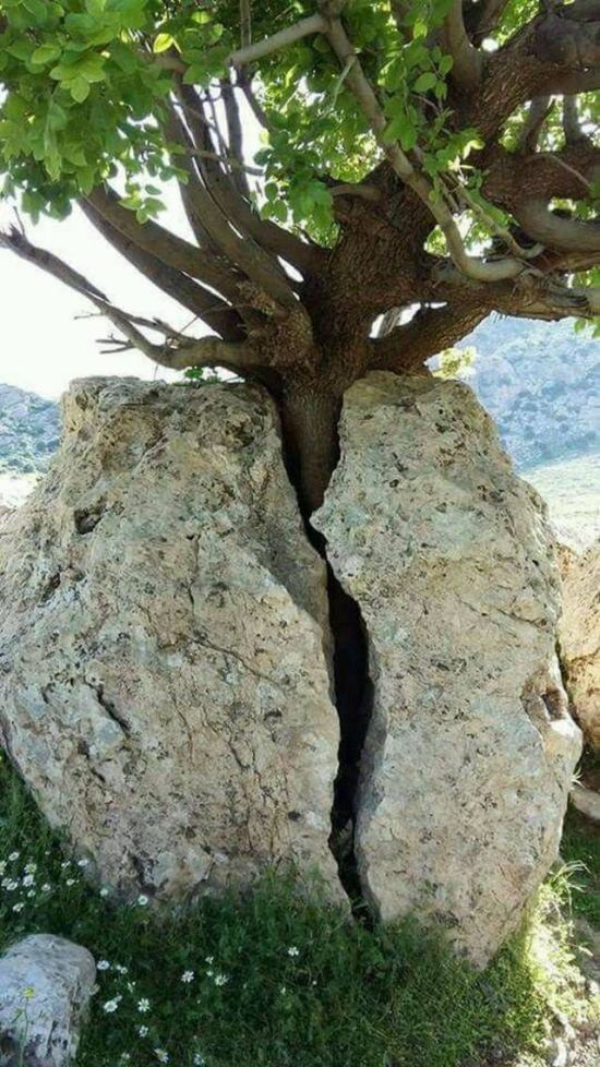 Фотографии вместо тысячи слов