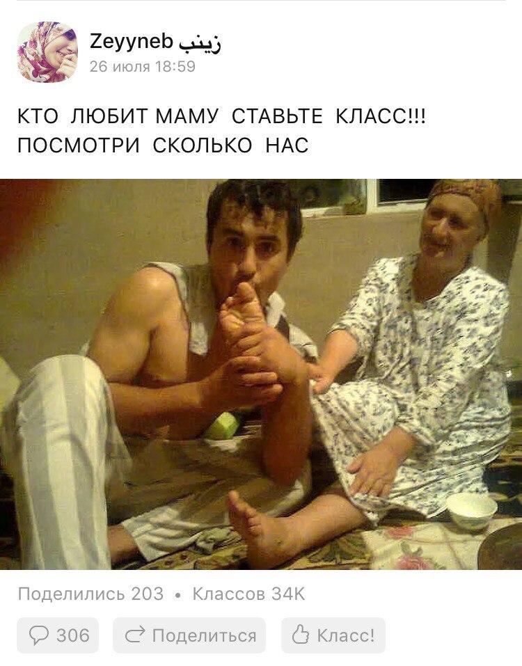 Одноклеточные
