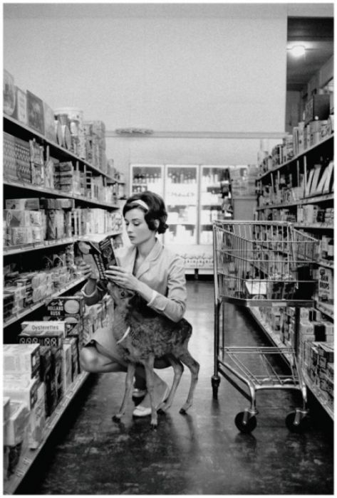 Фотографии из прошлого Фотографии из прошлого