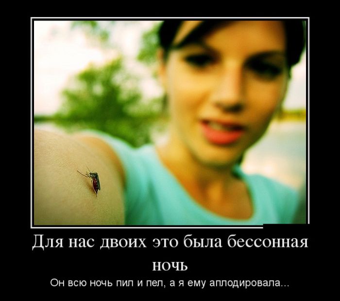 Демотиваторы