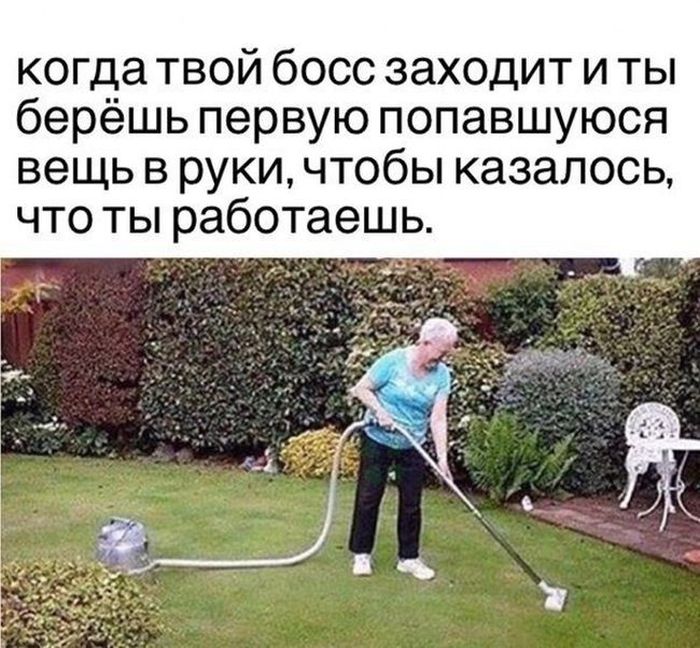 Смешные картинки с подписями