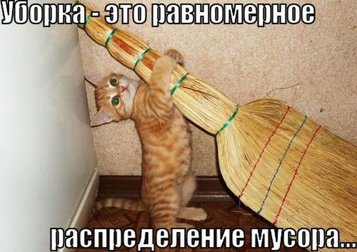 Смешные картинки с подписями