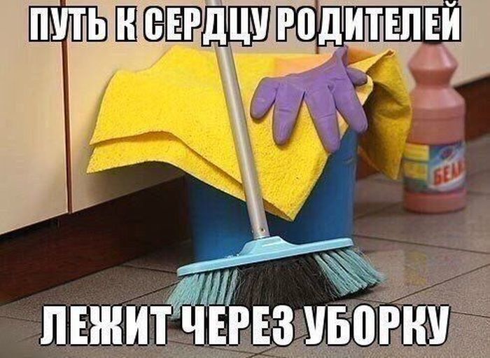 Смешные картинки с подписями