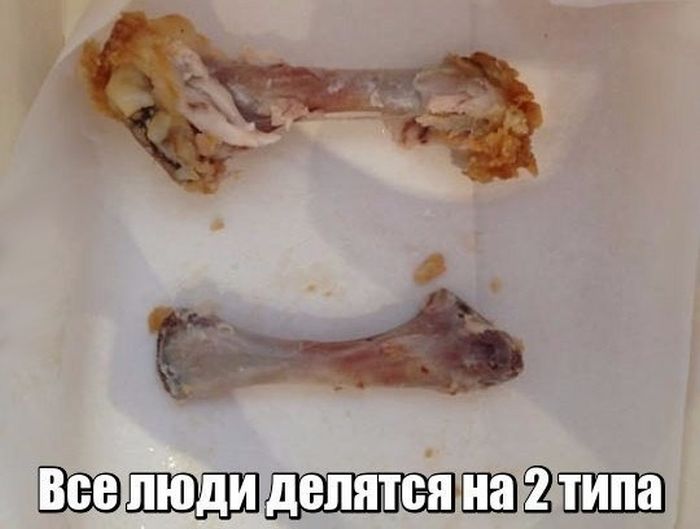 Смешные картинки с подписями