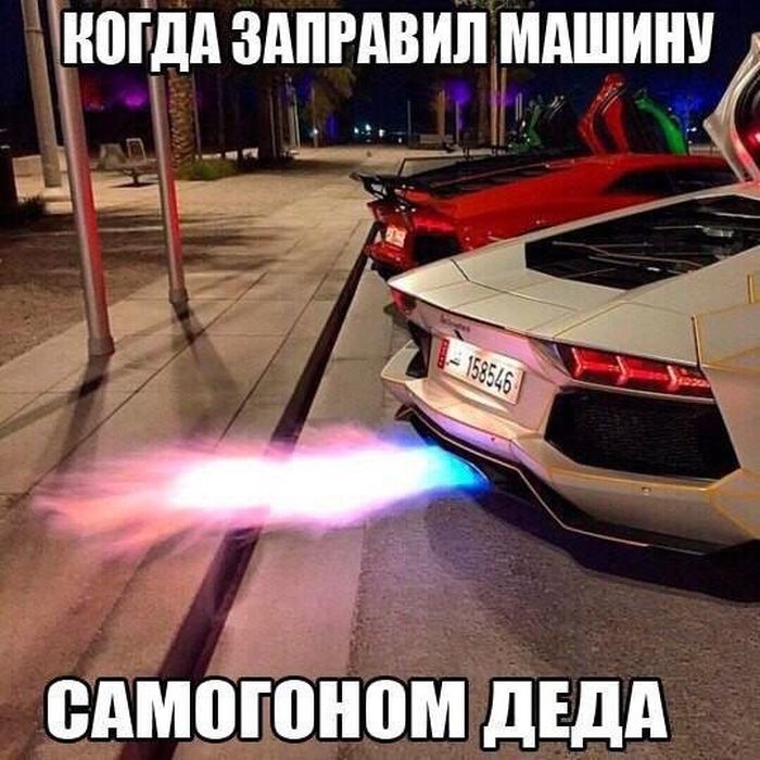 Смешные картинки с подписями