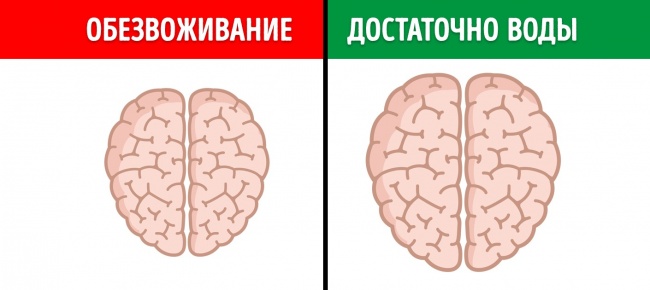 12 неожиданных вещей, которые вредят мозгу