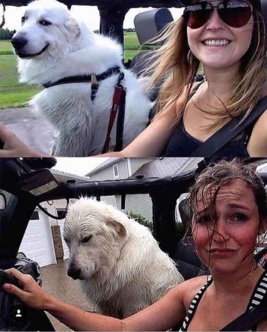 День не задался
