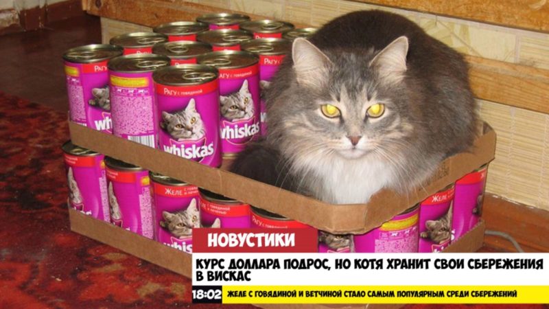 Добрые новости в последний понедельник лета
