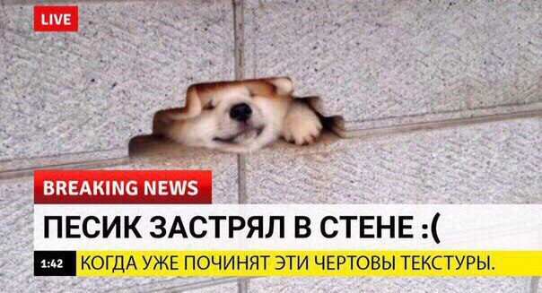 Добрые новости в последний понедельник лета
