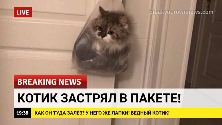 Добрые новости в последний понедельник лета
