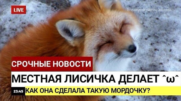 Добрые новости в последний понедельник лета