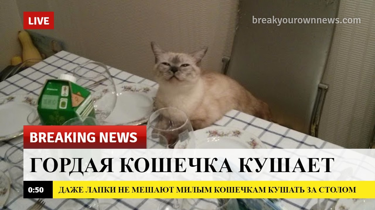 Добрые новости в последний понедельник лета