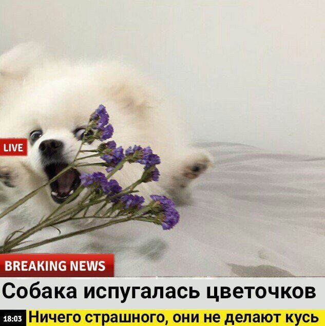 Добрые новости в последний понедельник лета