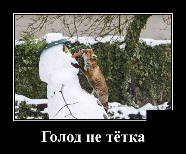 Демотиваторы