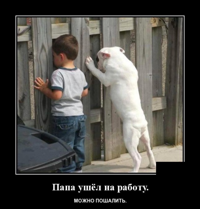 Демотиваторы