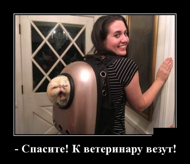 Демотиваторы