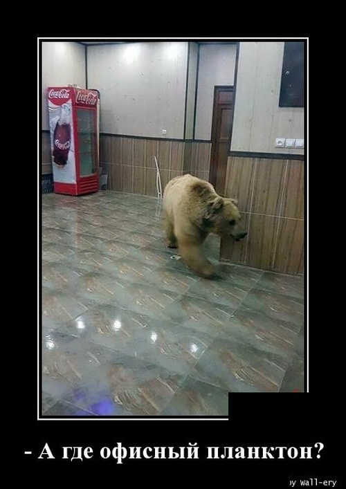 Демотиваторы