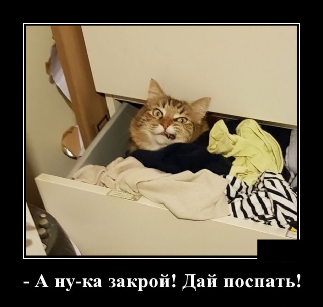 Демотиваторы
