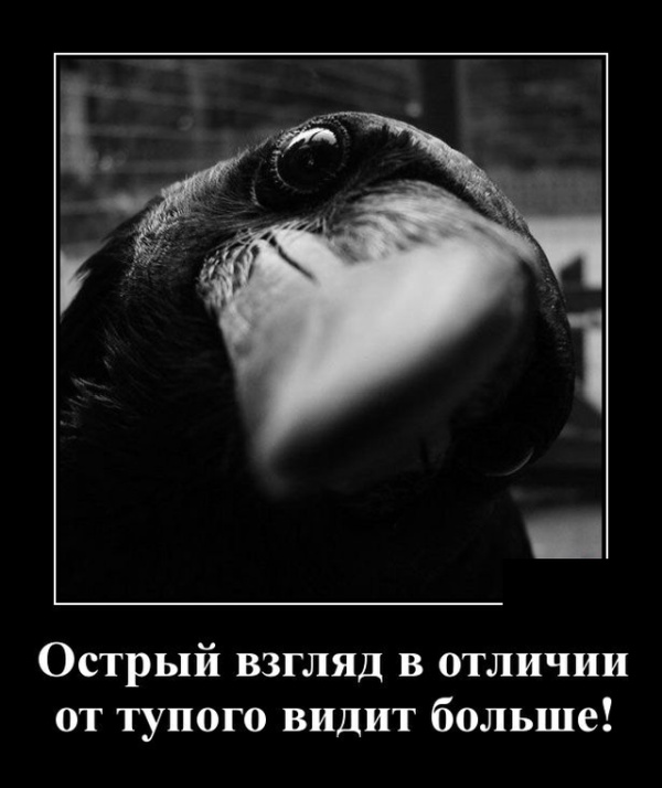Демотиваторы