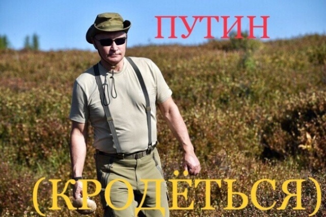 Фотожабы: Владимир Путин отдыхает на природе