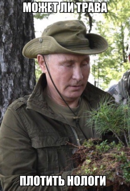 Фотожабы: Владимир Путин отдыхает на природе