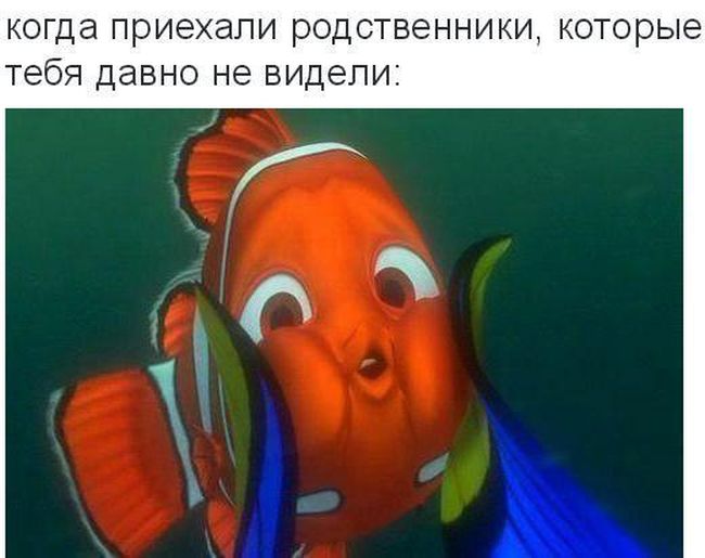 Порция картинок