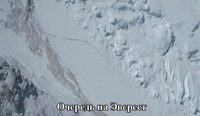 Порция картинок