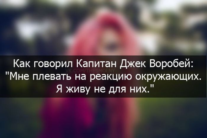 Порция картинок