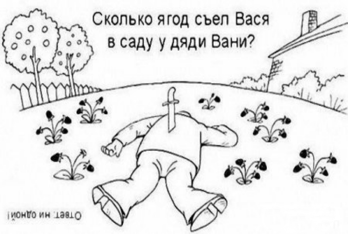 Разминка для мозга: 16 небольших задачек на внимательность и логику