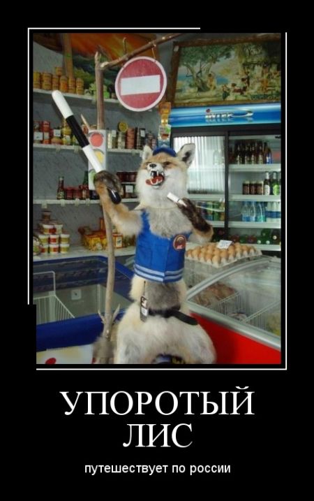 Демотиваторы