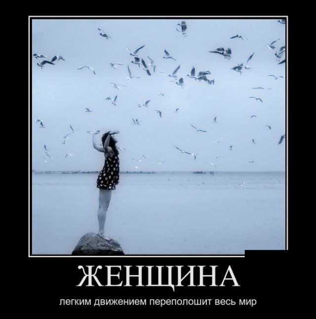 Демотиваторы