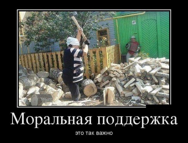 Демотиваторы